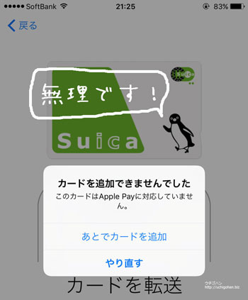 ANA VISA Suica