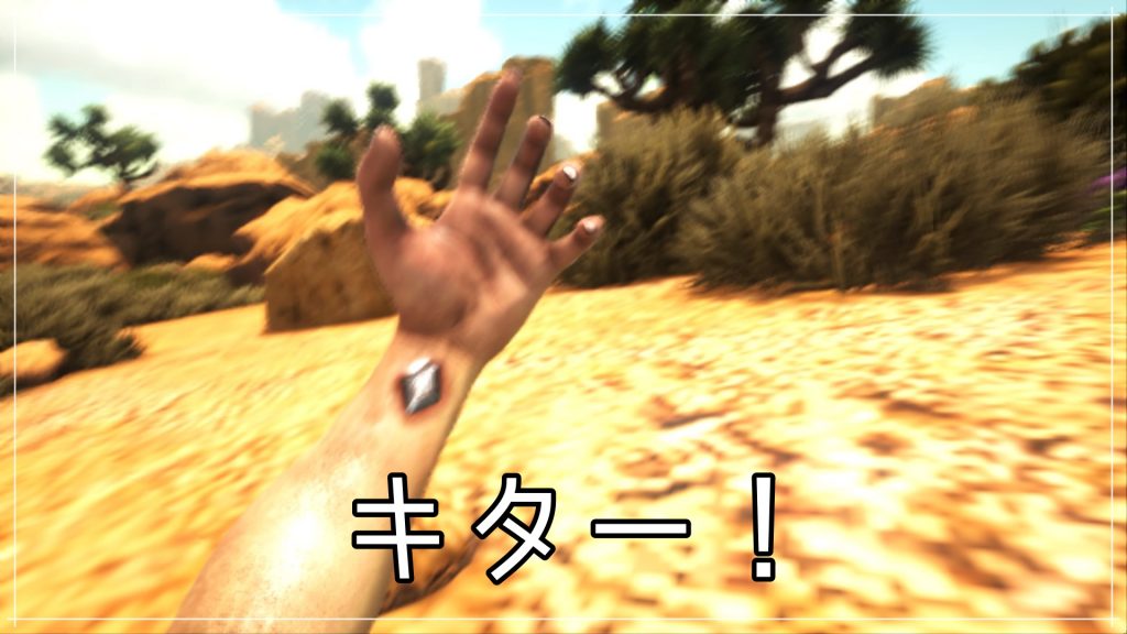 Ark Scorched Earth 始めました ウチゴハン